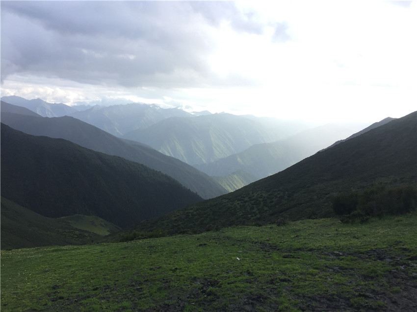 牧場遠(yuǎn)眺。.jpg