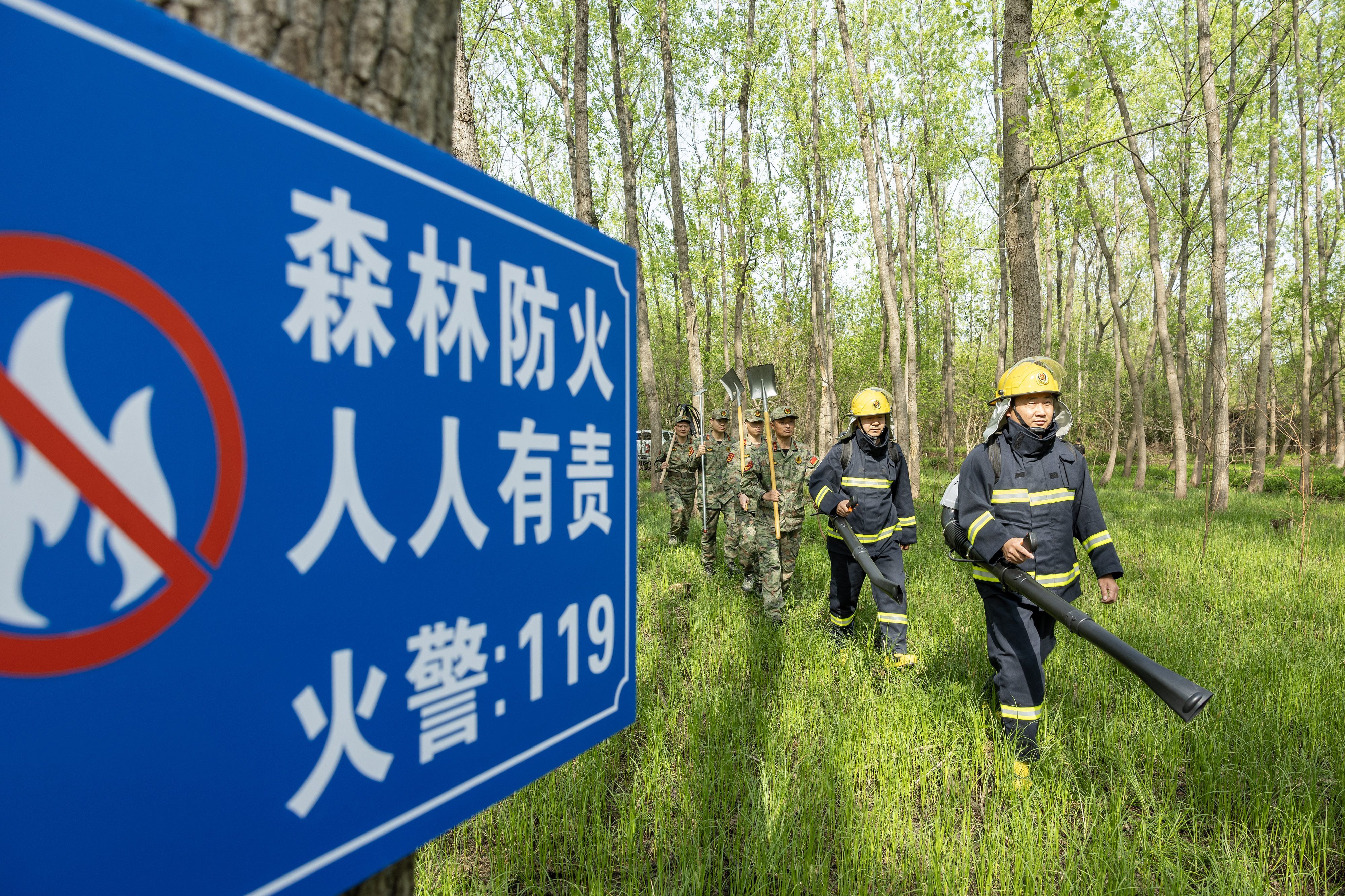 2024年4月9日，合肥市大房郢水庫(kù)水源保護(hù)地廬陽(yáng)經(jīng)濟(jì)開發(fā)區(qū)段，基干民兵正在林間巡查火災(zāi)隱患。