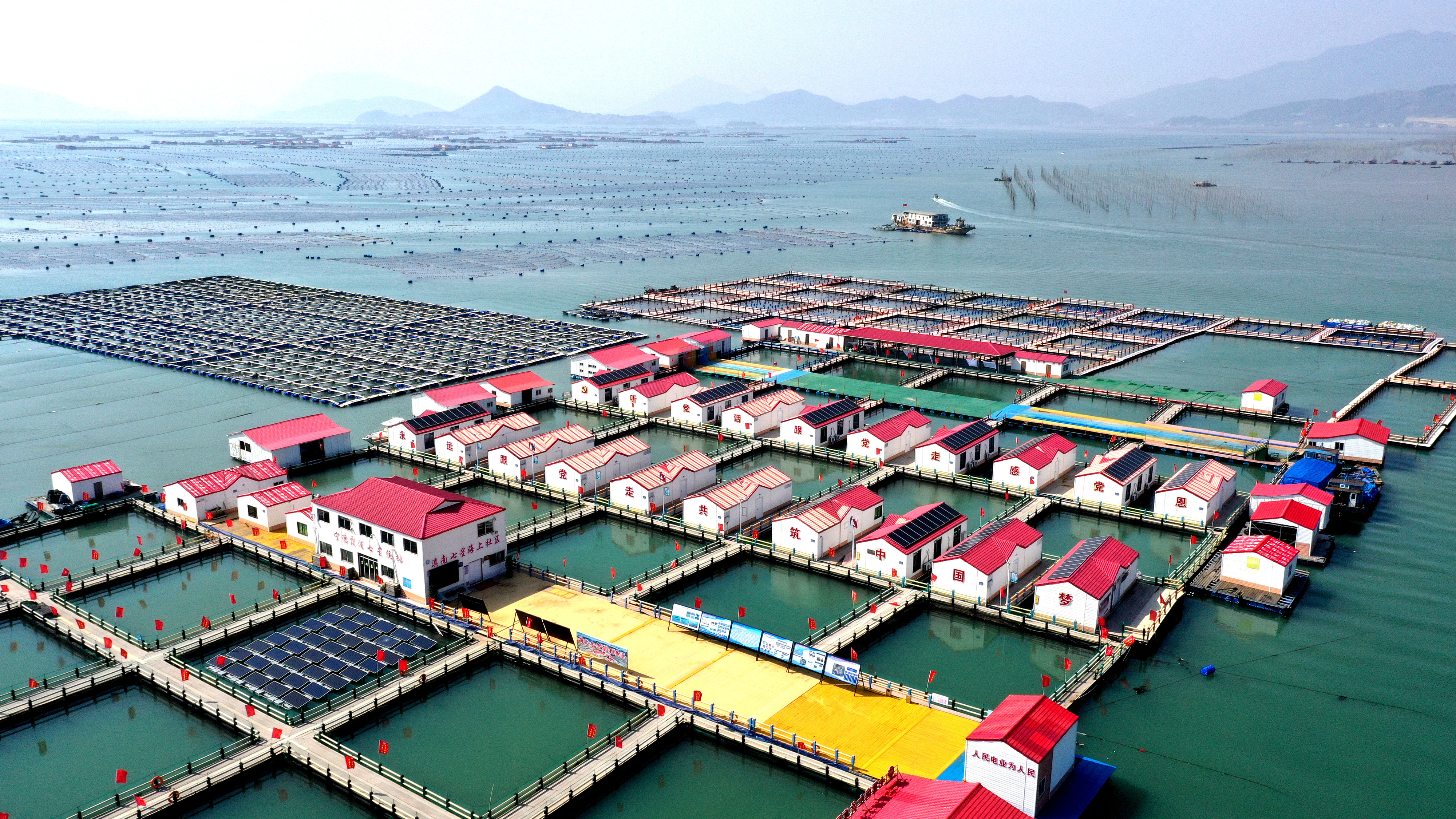 2024年3月20日，福建省寧德市，霞浦縣溪南鎮(zhèn)七星村漁排養(yǎng)殖示范區(qū)，漁民駕駛養(yǎng)殖船進(jìn)行海參養(yǎng)殖作業(yè)。