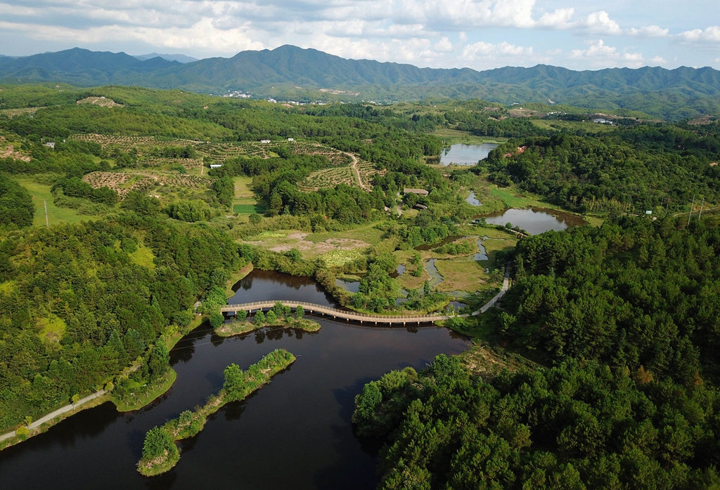 福建省龍巖市長汀縣的長汀汀江國家濕地公園景色（2020年7月28日攝，無人機(jī)照片）。新華社記者 魏培全 攝